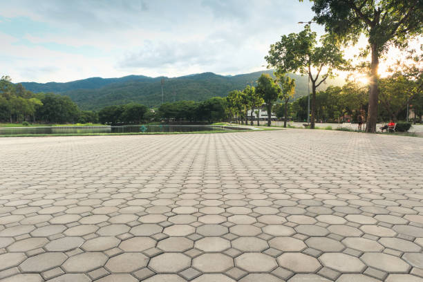 Best Residential Driveway Paver Services  in Ivanhoe, TX