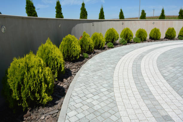 Best Local Driveway Pavers  in Ivanhoe, TX